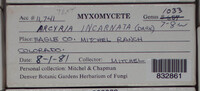 Image Associated With the Occurence